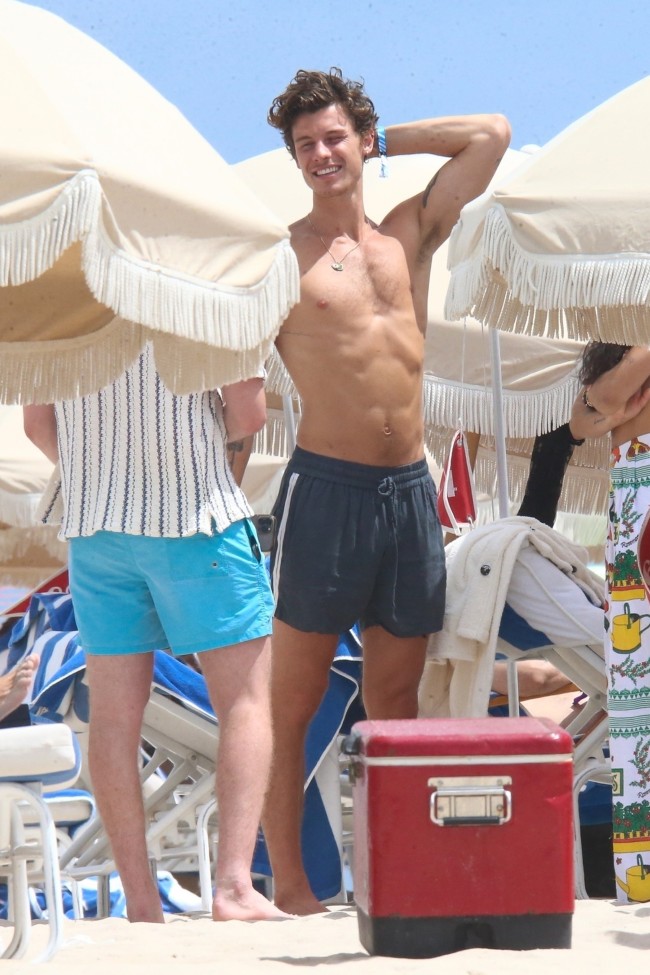 Shawn Mendes se desnudo hasta quedar en shorts de bano y flexiono los musculos de sus brazos mientras llegaba a la playa en Miami