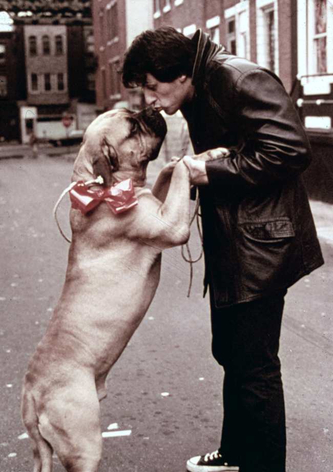 Sylvester Stallone besa al cachorro Butkus en un fotograma de Rocky de 1976
