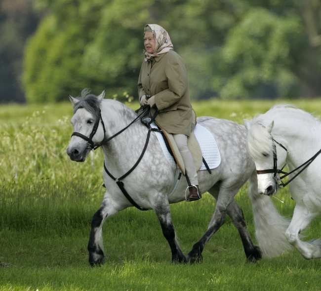 Camilla hablo del profundo conocimiento de la Reina sobre los caballos