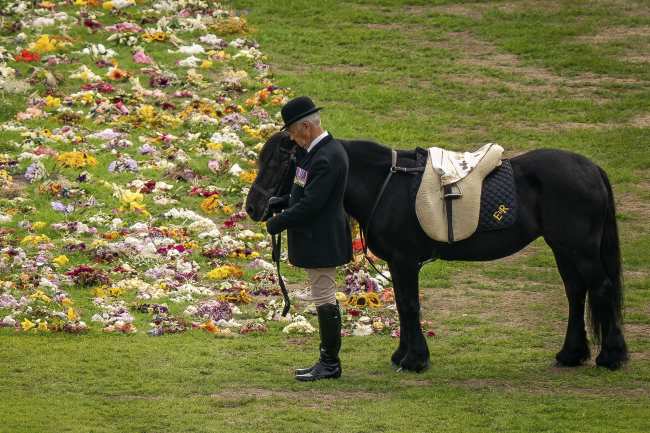 El pony de Elizabeth Emma tambien estuvo en Windsor el lunes