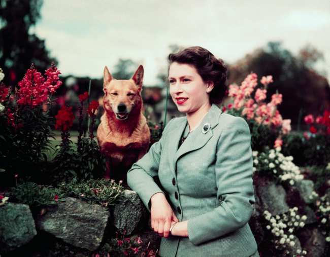 Reina Isabel en jardin con perro