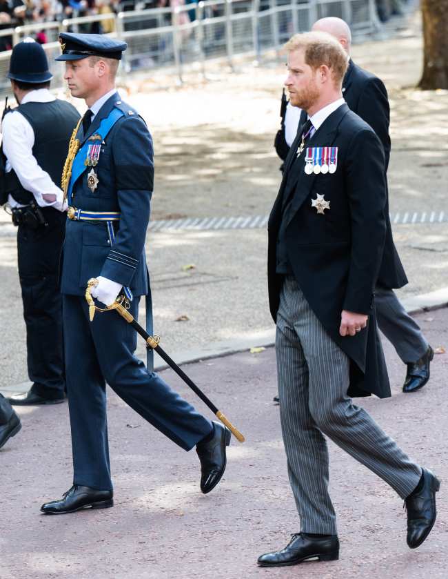 El principe William lucio su uniforme de la RAF mientras que el hermano Harry coloco sus medallas en un traje de manana