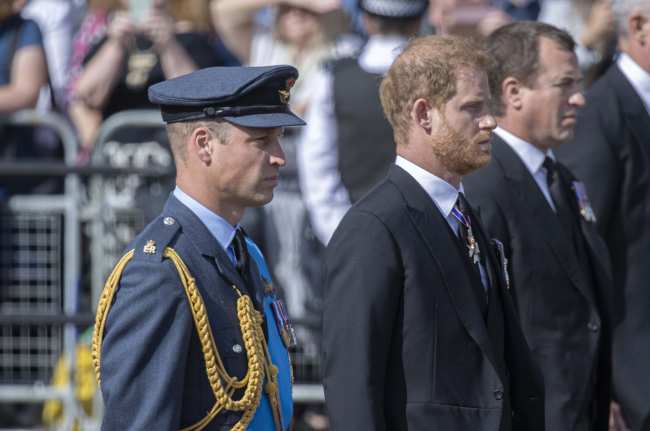 William marcho junto a su hermano el principe Harry