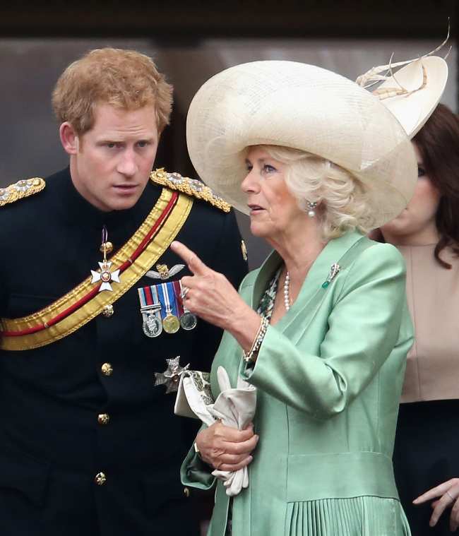 El principe Harry supuestamente dijo cosas desagradables sobre la reina consorte Camilla segun un biografo real