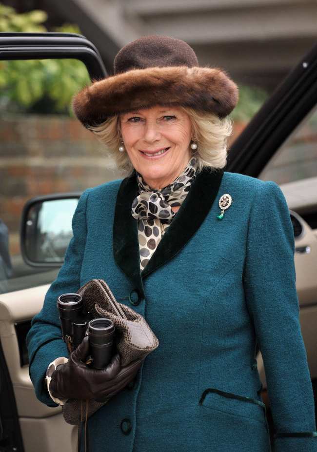              La reina consorte fue fotografiada con el broche del Principe de Gales en 2012            