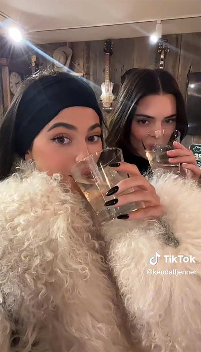 Kendall, Kylie Jenner tease Kathy Hilton, Lisa Rinna's tequila fight ...