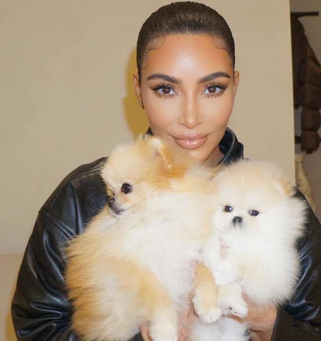              Kim Kardashian esta bajo fuego por publicar y eliminar un video de TikTok de sus perros que parecen vivir en su garaje            