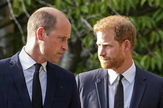              El principe Harry considera al principe William su archienemigo            