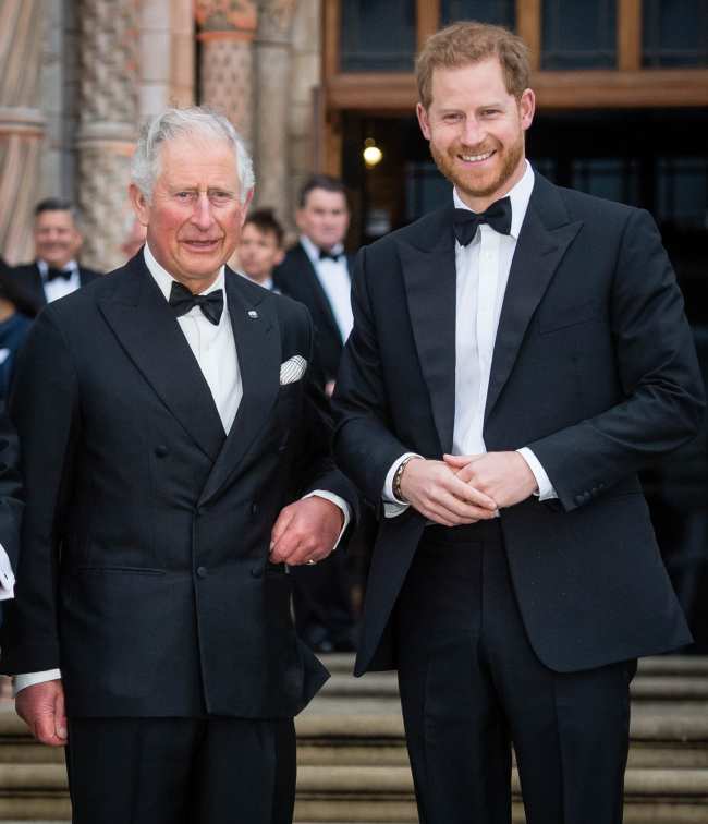              Segun los informes el rey Carlos III quiere reconciliarse con el principe Harry            