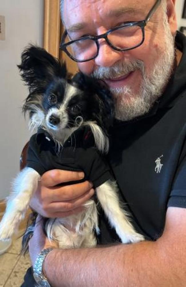 Russell Crowe cargando a su cachorro Louis