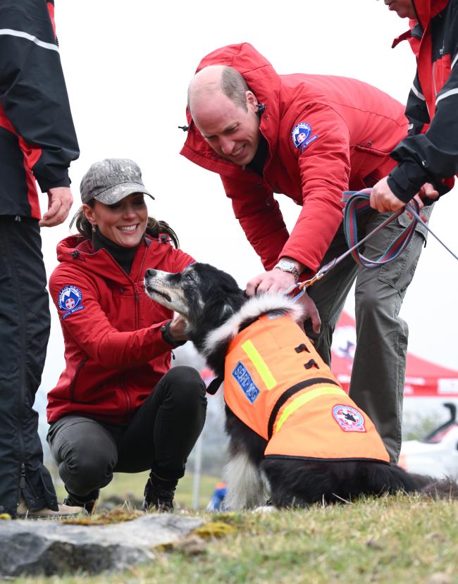 Los amantes de los perros visitaron a un amigo peludo cuando conocieron a los perros de busqueda del equipo de rescate
