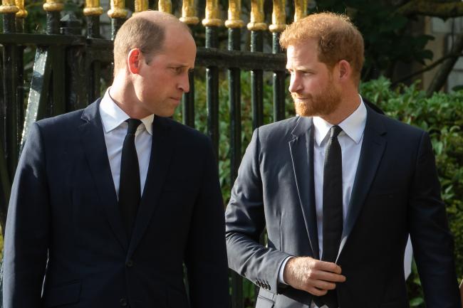 El principe William y el principe Harry han estado peleandose desde poco despues de que Markle se casara con The Firm