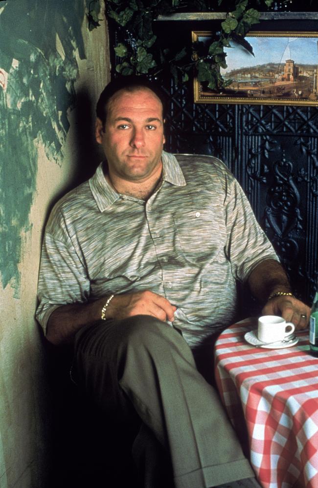 Gandolfini salto a la fama como Tony Soprano en el exitoso programa de HBO