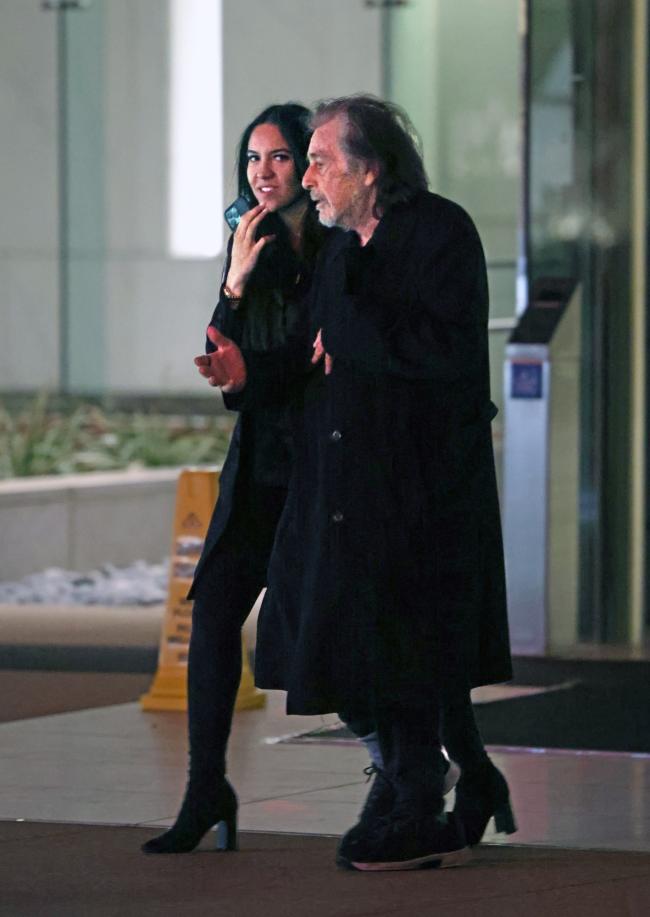 Pacino actualmente está esperando un hijo con Noor Alfallah.