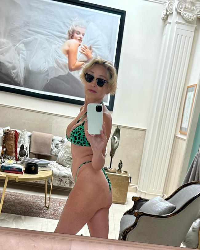 Sharon Stone tomándose una selfie en el espejo en bikini