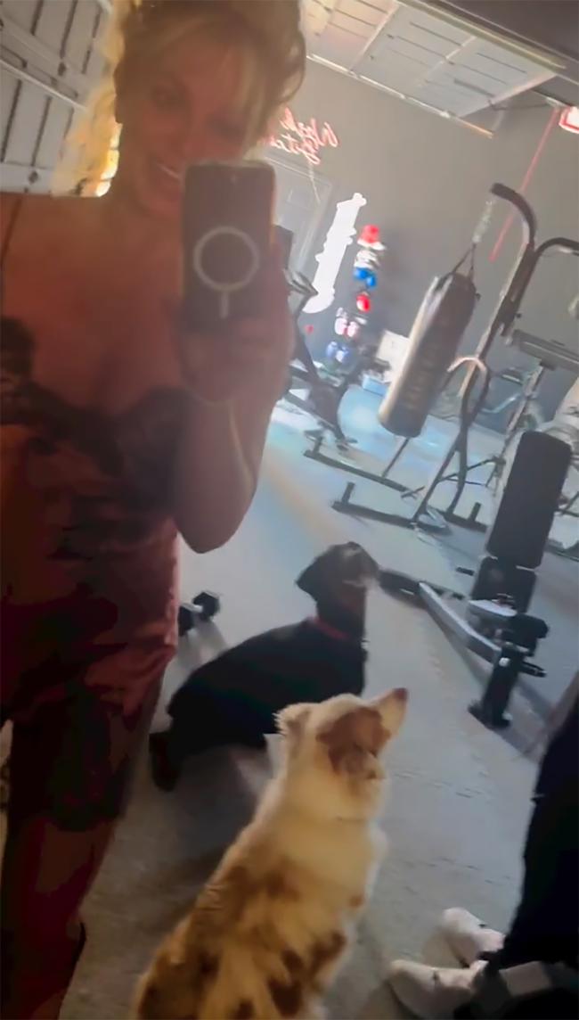 La estrella del pop grabó el video desde el gimnasio de su casa, con dos de sus perros protagonizando el clip.