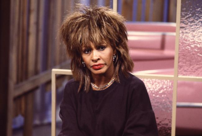Su arresto se produjo pocas semanas antes de que muriera su madre, Tina Turner.