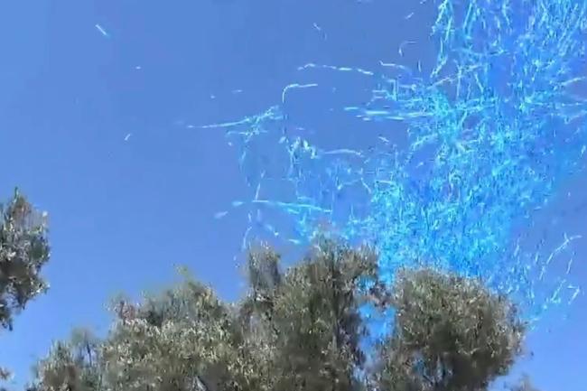 Los espectadores vitorearon cuando el confeti azul se disparó en el aire.