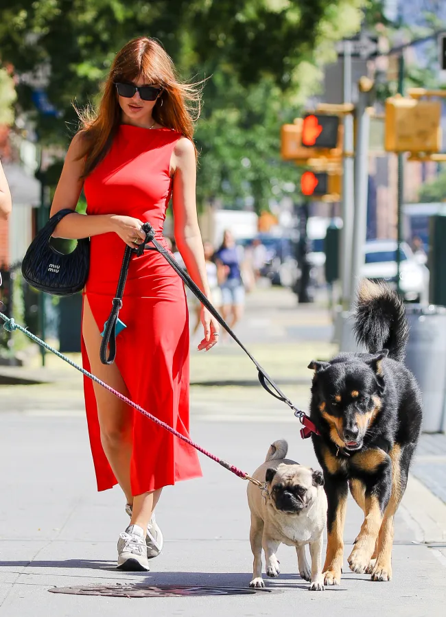 Emily Ratajkowski pasea a su perro con atrevido vestido.