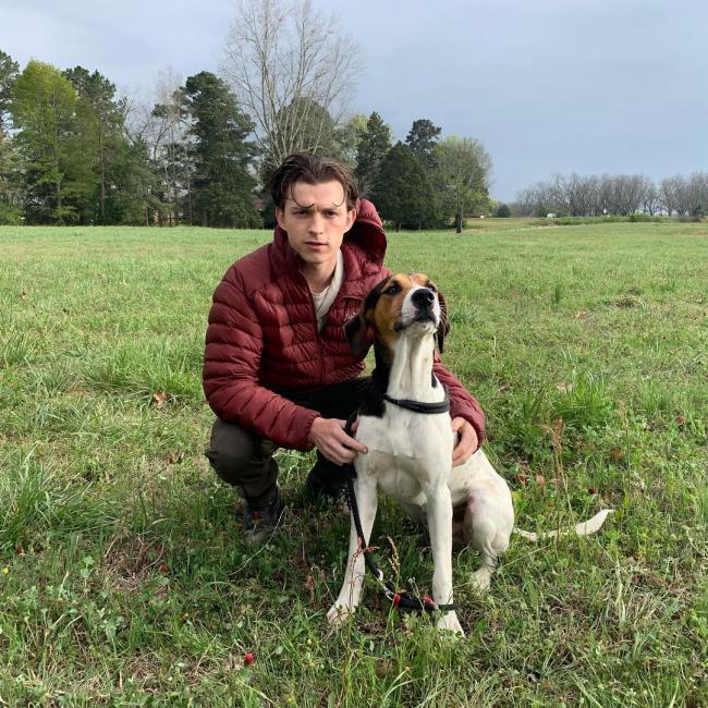 Tom Holland con perro
