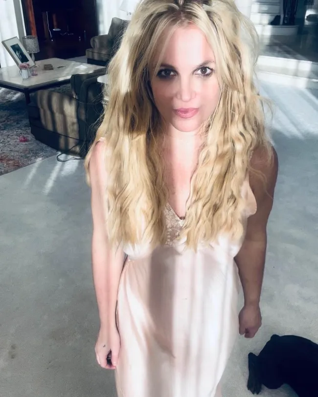 Spears se ha “aislado” de familiares y amigos en medio de su reciente divorcio, confirmó previamente QQCQ.