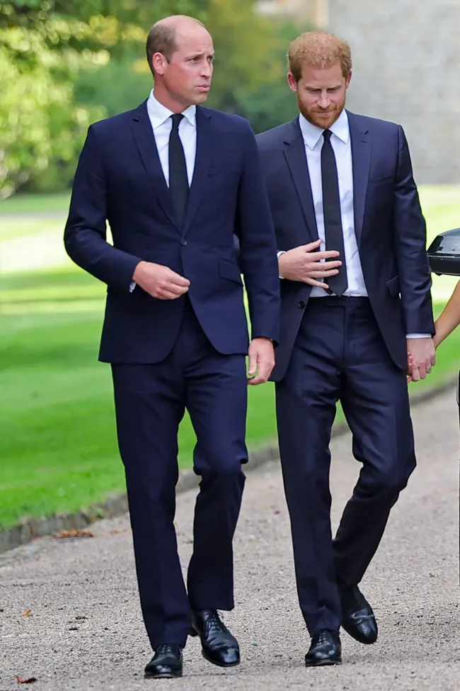 El desaire se produce en medio de las continuas tensiones de Harry con su hermano, el príncipe William.