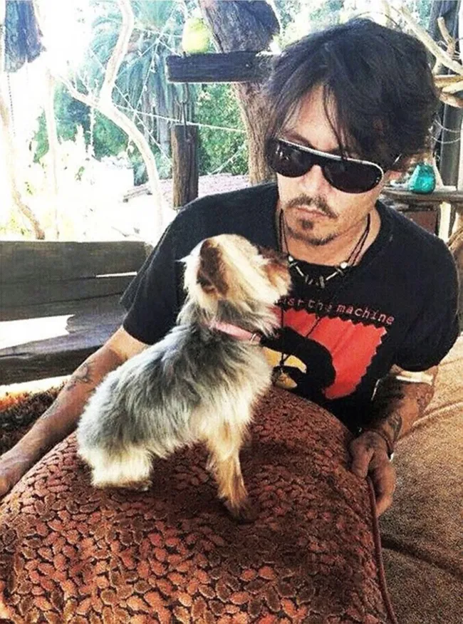 Heard y su entonces esposo Johnny Depp llevaron a sus mascotas a Gold Coast, donde estaba filmando la quinta película de “Piratas del Caribe”.