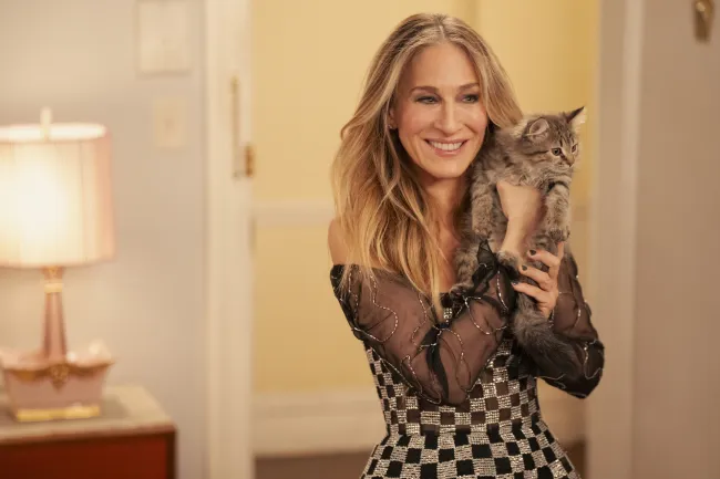 Sarah Jessica Parker adoptó al gatito que su personaje rescató en la segunda temporada de “AJLT”.