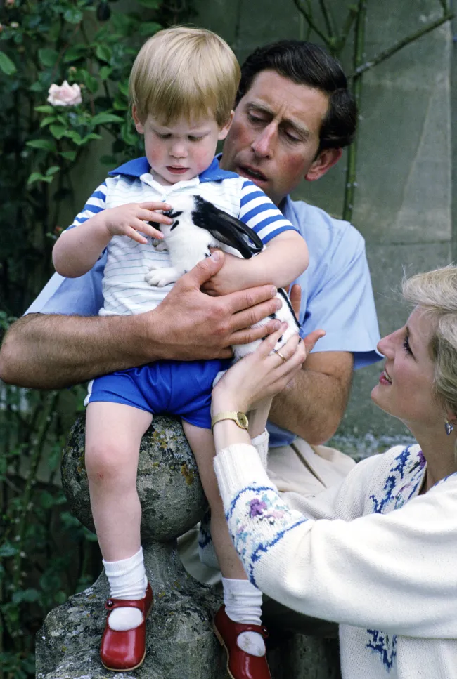La princesa Diana quedó devastada por la respuesta de Carlos, según un biógrafo real.