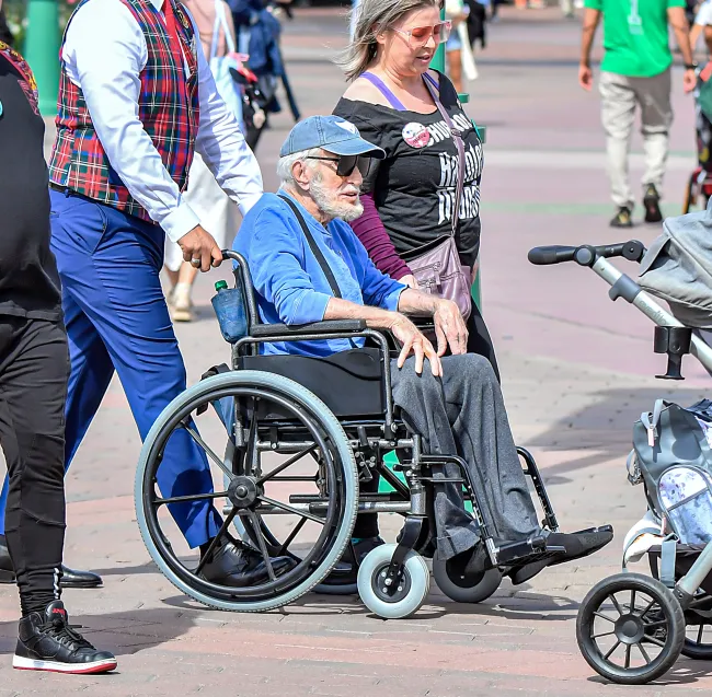Dick Van Dyke fue visto en Disneyland el domingo.