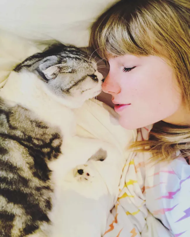 Si bien este es el primer gato de Hargitay, Swift tiene tres.Taylor Swift/Instagram