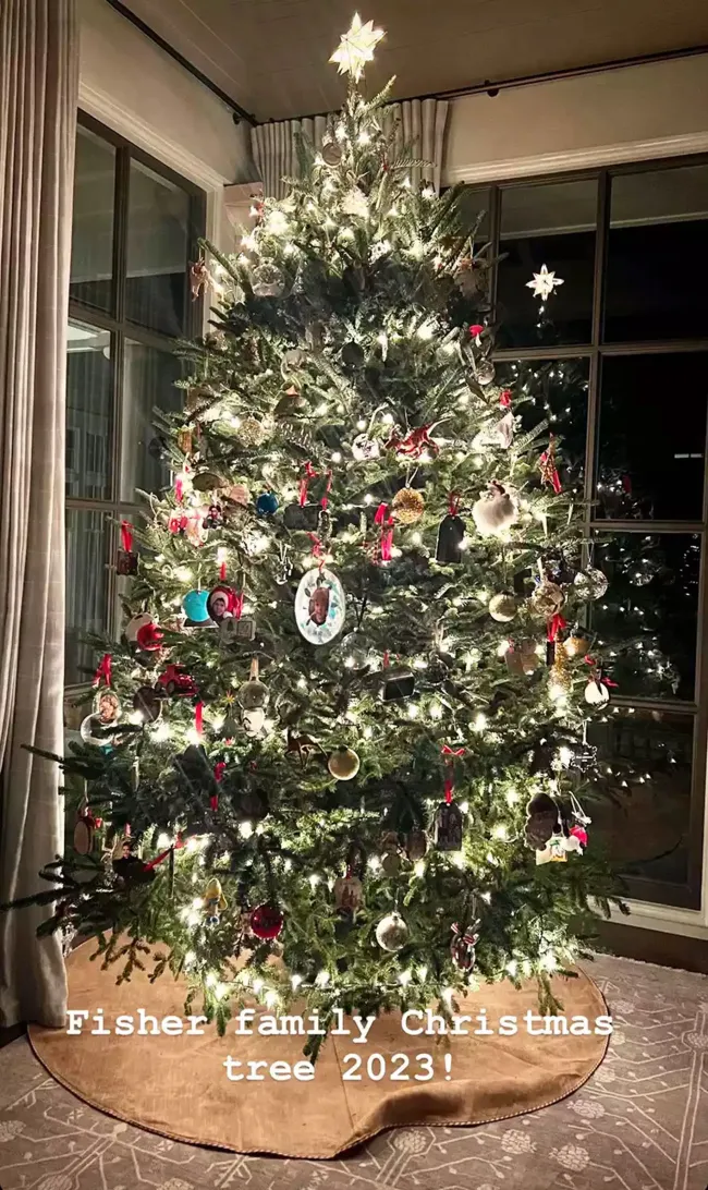 Las sonrientes fotografías se mostraron en el árbol de Navidad de su familia.Carrieunderwood/Instagram