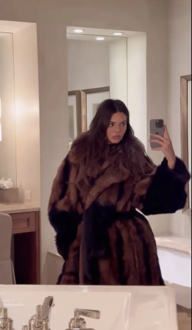Jenner compartió algunas selfies con su nuevo abrigo.Kendall Jenner/Instagram