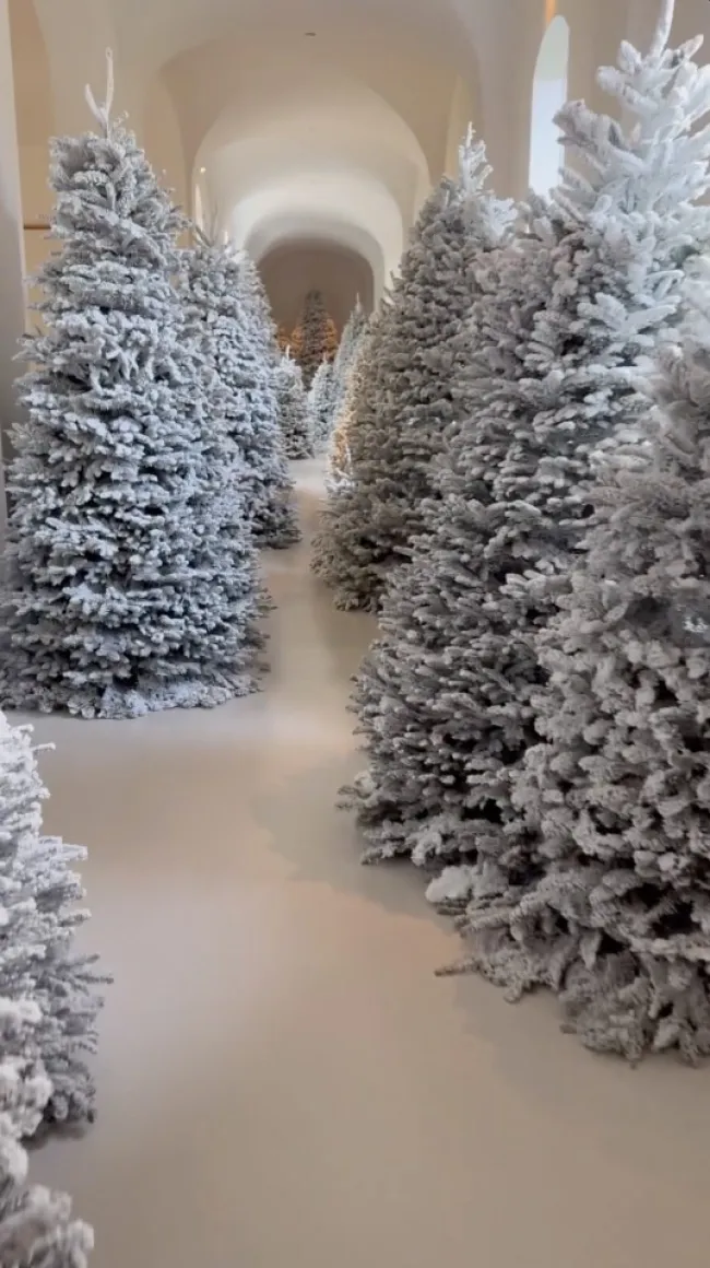 La fundadora de SKIMS recurrió a su historia de Instagram el lunes para mostrar su pasillo lleno de varios árboles de Navidad.Instagram/kimkardashian