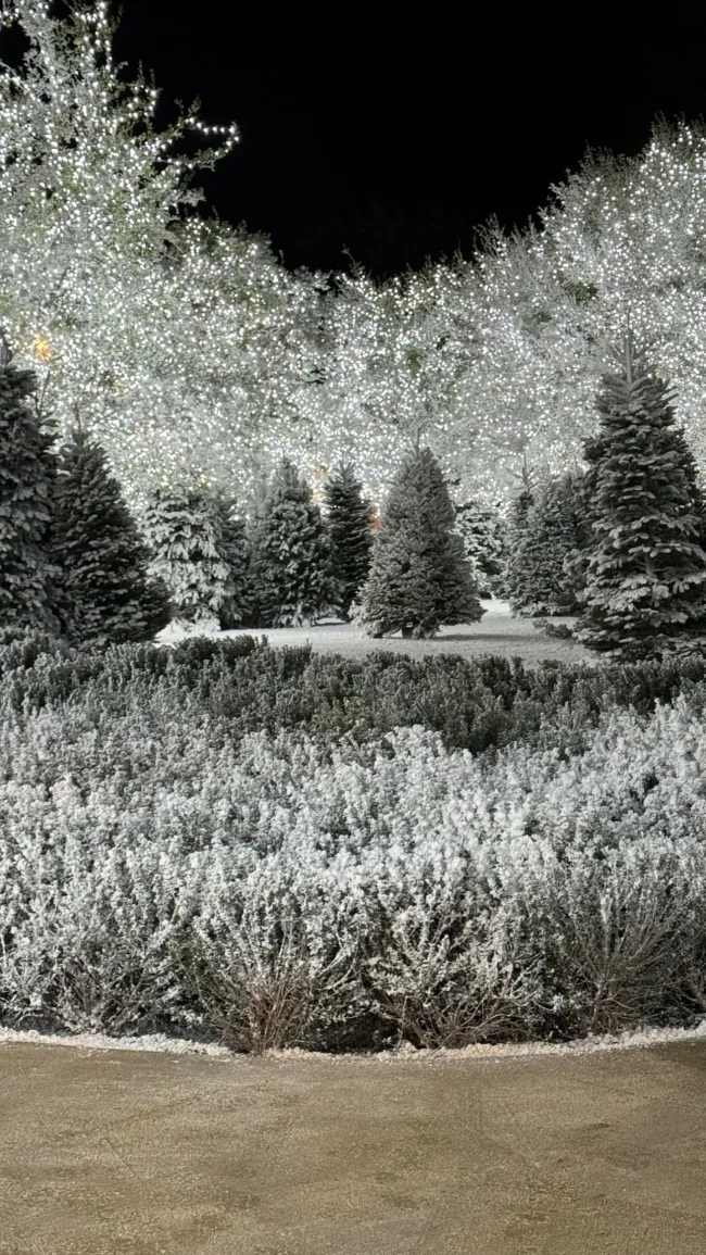 Kim Kardashian decoró su patio trasero con nieve artificial.