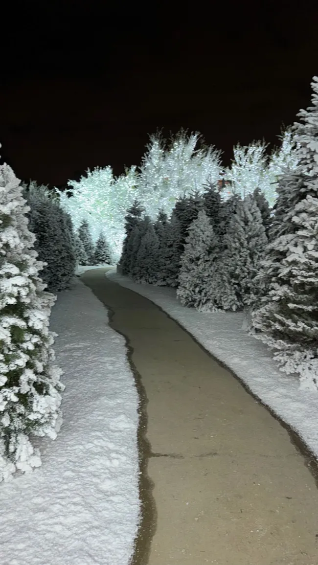 La magnate de Skims decoró todo su patio trasero con árboles y plantas cubiertos de nieve.KIm Kardashian/Instagram