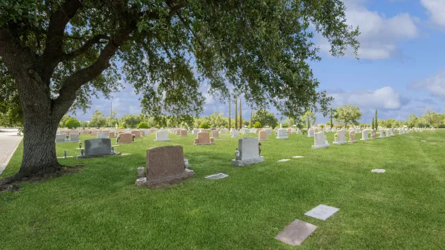 El cementerio donde está enterrada la madre de Megan Thee Stallion.