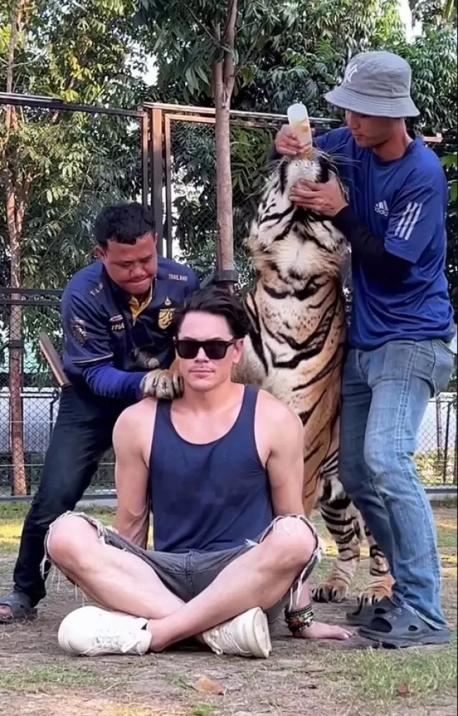 Tom Sandoval con tigre
