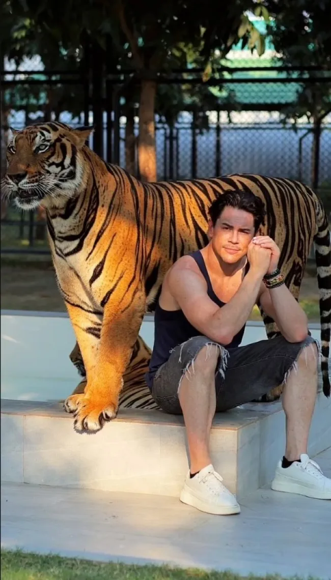 Tom Sandoval con tigre