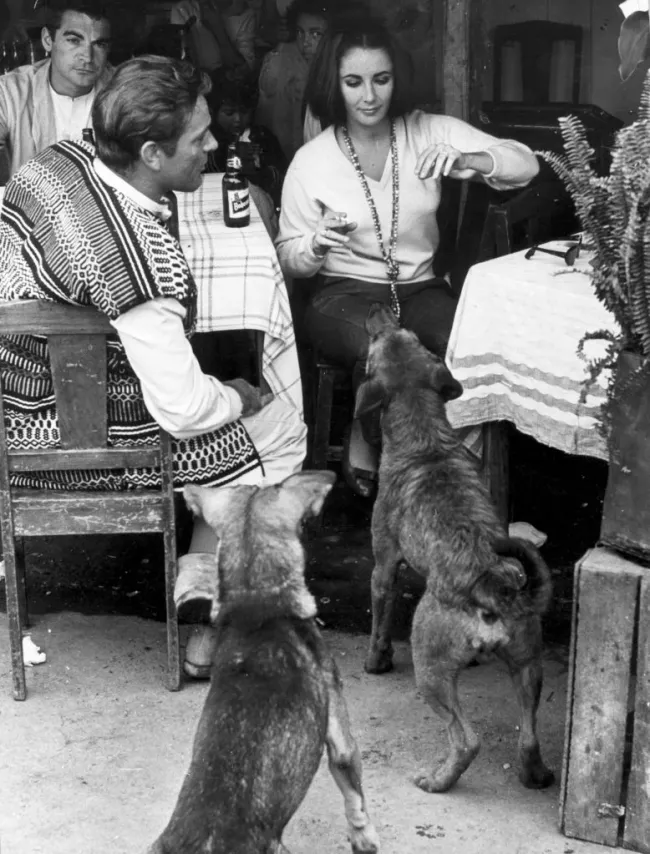 Elizabeth Taylor y Richard Burton sentados en una mesa al aire libre y acariciando perros