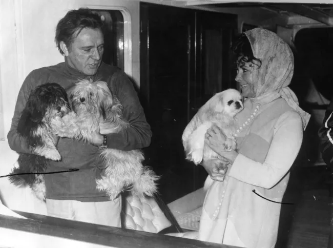 Richard Burton sosteniendo dos perros pequeños y Elizabet Taylor sosteniendo un perro pequeño
