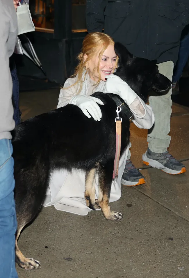 Nicole Kidman abrazando a un perro mientras filma una nueva película.