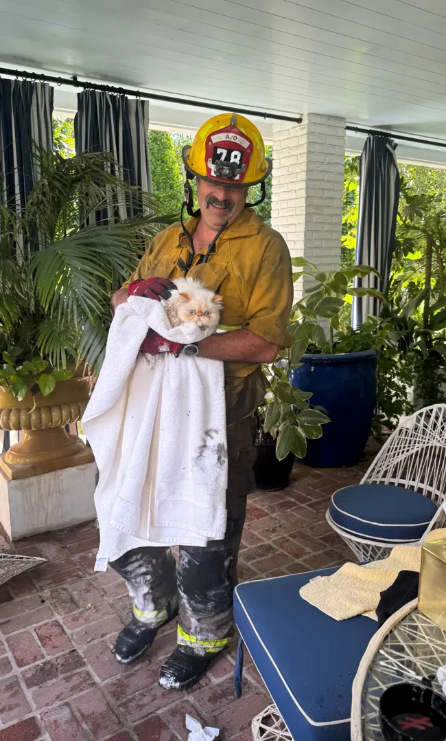 Un bombero sosteniendo un gato.
