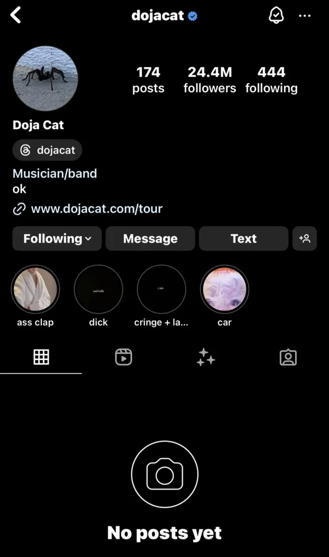 Instagram desactivado de Doja Cat.