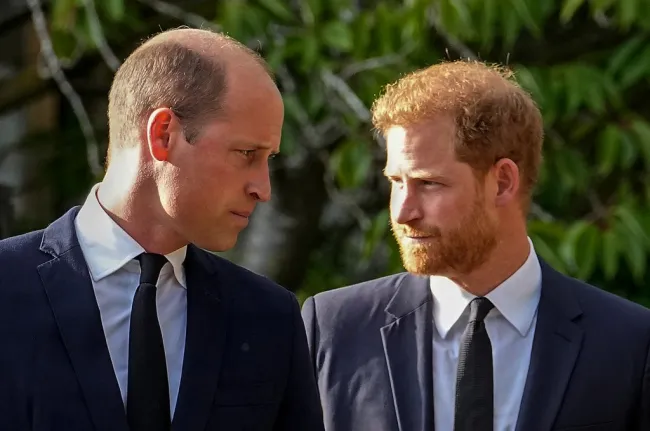 El Príncipe Harry y el Príncipe William en 2022.