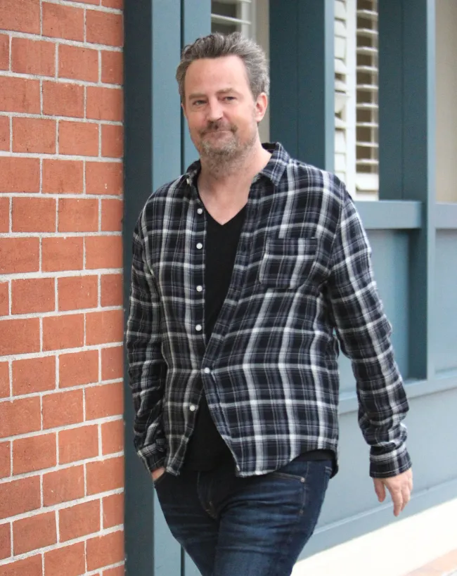 matthew perry