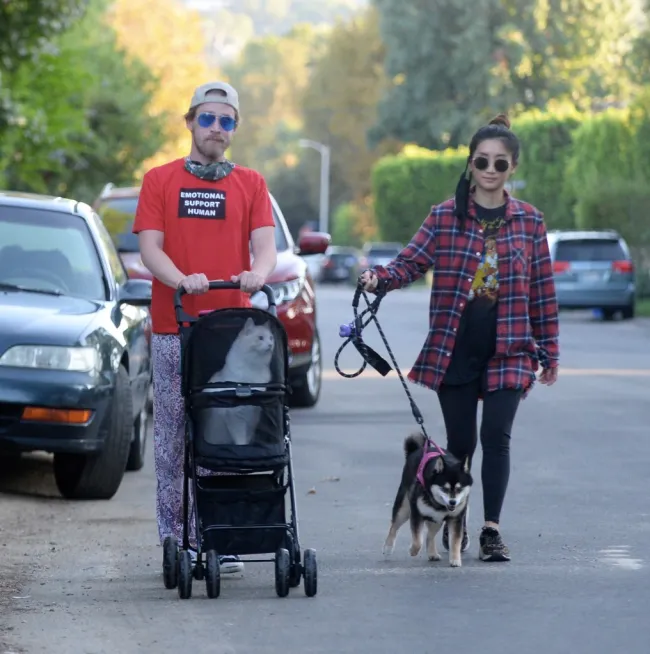 Macaulay Culkin y Brenda Song paseando a sus mascotas