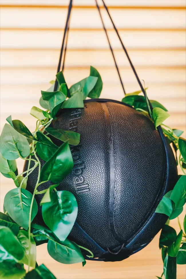 una maceta de baloncesto negra con una planta colgando sobre ella
