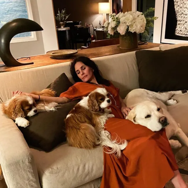 Courteney Cox en el sofá con sus perros.