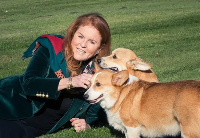 Sarah Ferguson jugando con los perros de la reina Isabel II.